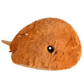 Horseshoe Crab