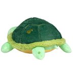 Baby Sea Turtle