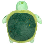 Baby Sea Turtle