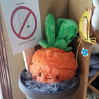Comfort Food Carrot