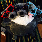 Cerberus