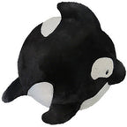 Orca
