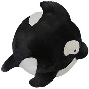 Squishable Orca