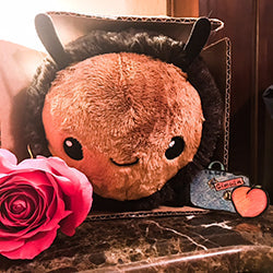 Squishable Fuzzy Bumblebee