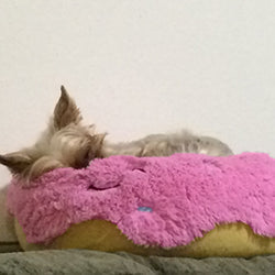 Squishable Pink Donut