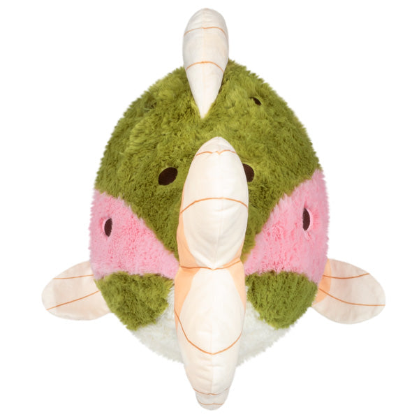 Rainbow Trout