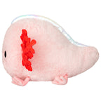 Baby Axolotl