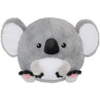 Baby Koala