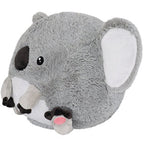 Baby Koala