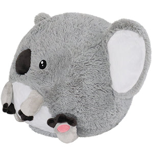 Baby Koala