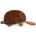 Baby Platypus