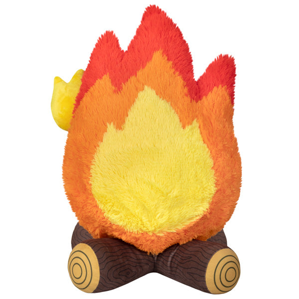 Campfire
