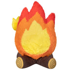 Campfire