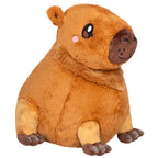 Capybara