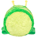 Caterpillar