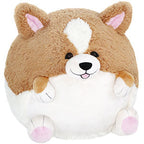 Corgi