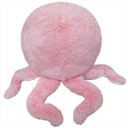 Cute Octopus