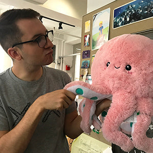 Squishable Cute Octopus