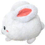 Fluffy Bunny