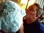 Narwhal