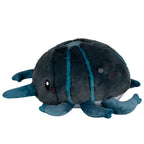 Stag Beetle