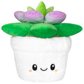 Succulent