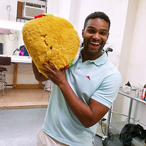Squishable Comfort Food Taco