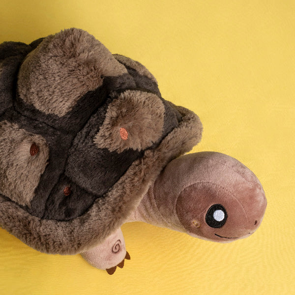 Tortoise