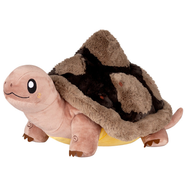 Tortoise