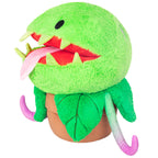 Venus Flytrap