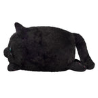 Black Kitty