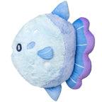 Sunfish