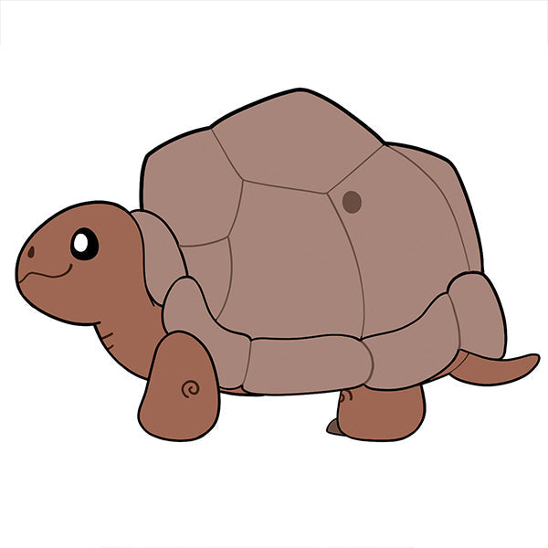 Tortoise